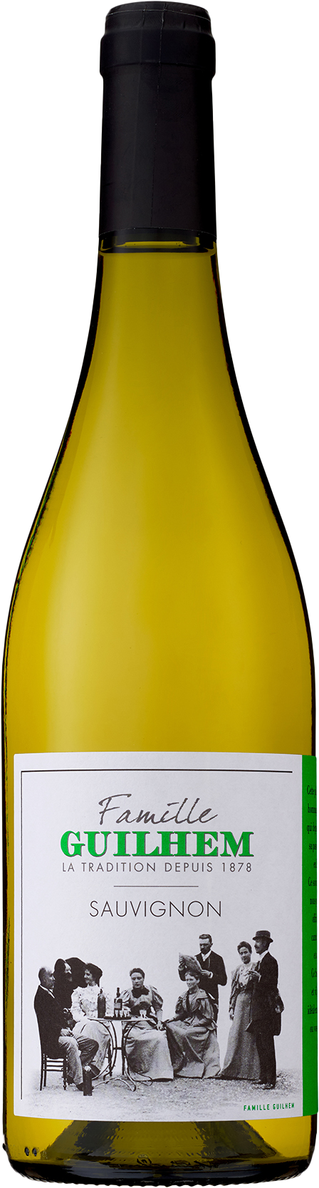 Sauvignon Blanc Pays d'Oc - Domaine Guilhem 2024