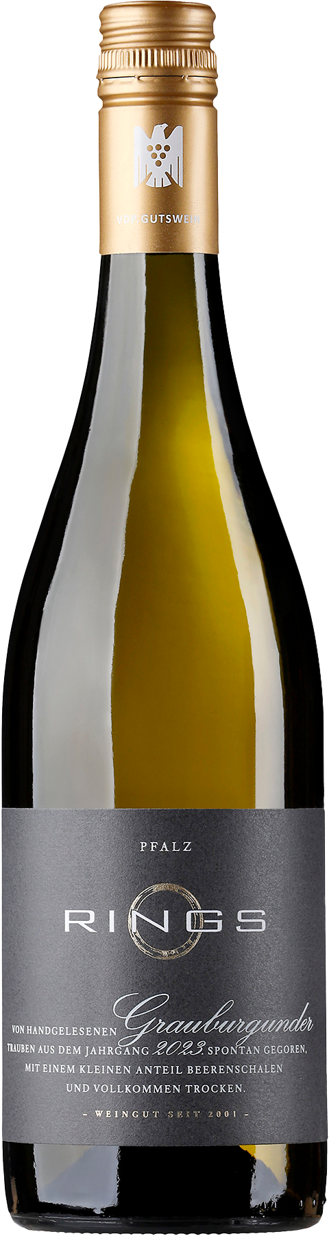 Grauburgunder - Rings 2024