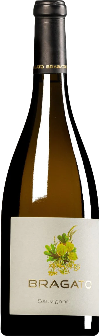 Sauvignon Blanc Friuli DOC 2021 - Bragato