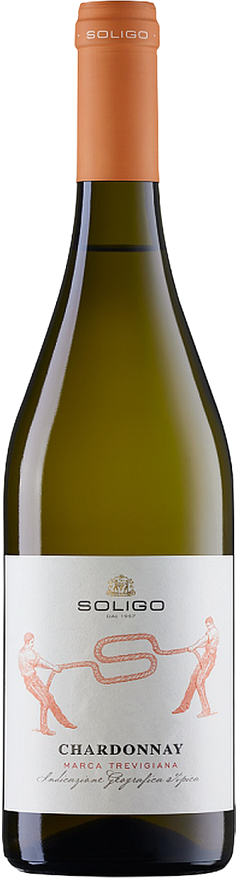 Chardonnay Marca Trevigiana IGT Soligo 2025