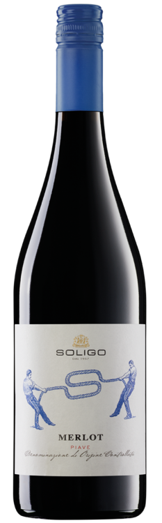 Merlot Piave DOC Soligo 2024
