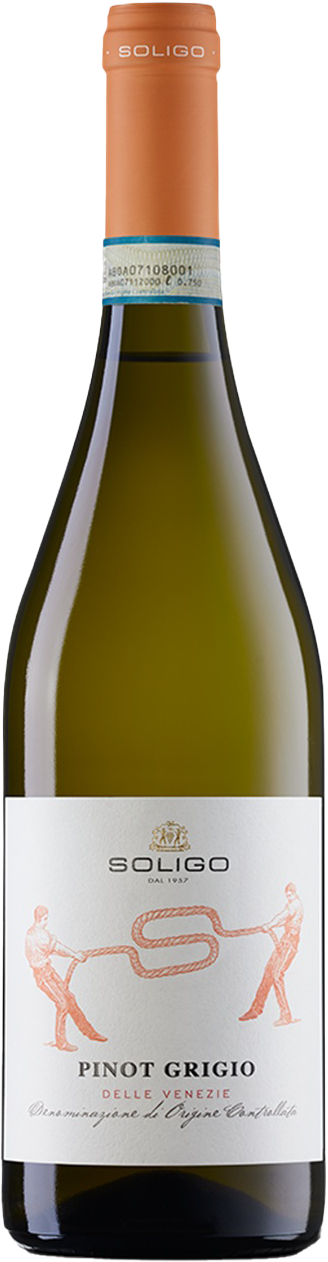 Pinot Grigio delle Venezie DOC Soligo 2024