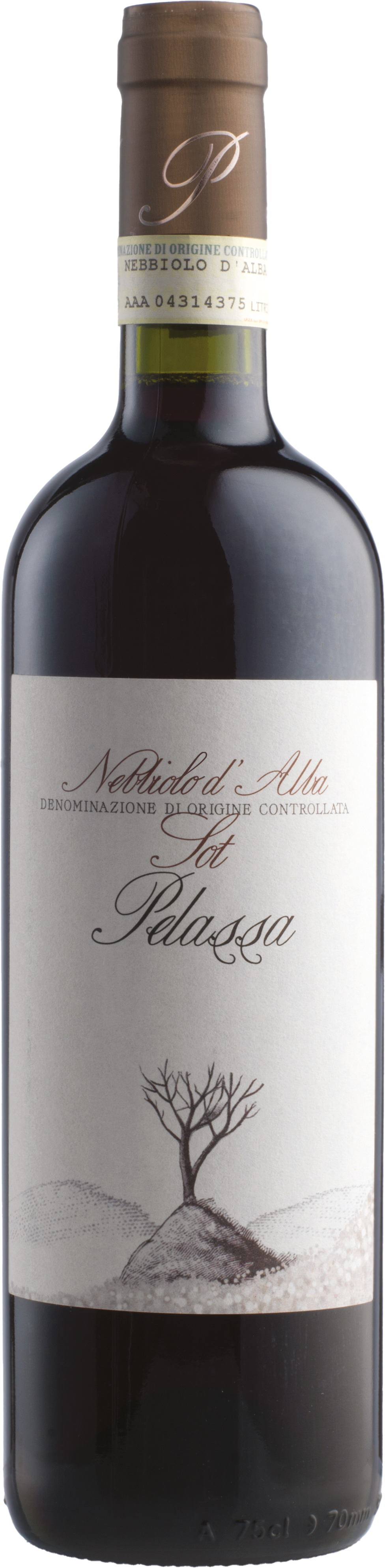 Nebbiolo d'Alba SOT DOC 2022