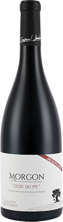 Morgon - Côte du Py Réserve AC 2024