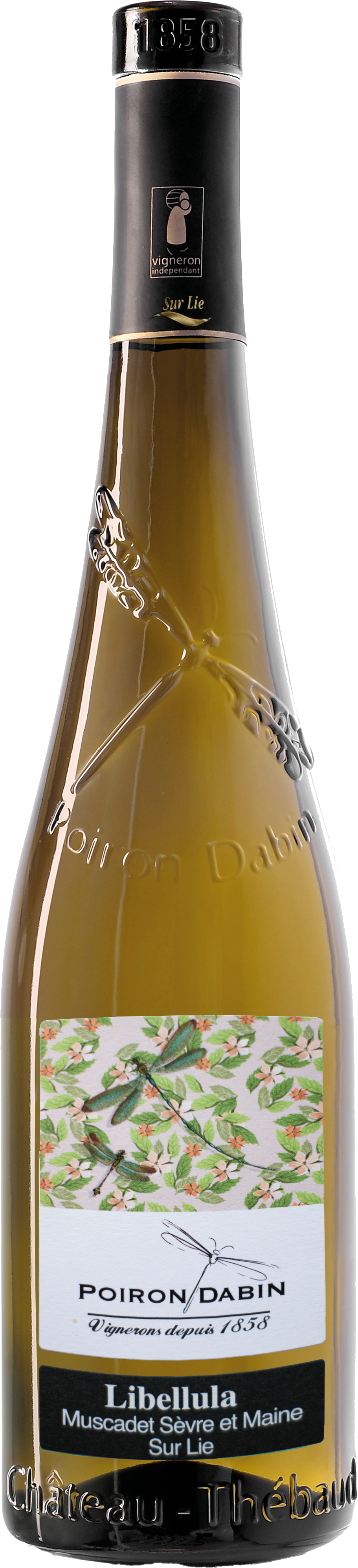 Muscadet 'Libellula' de Sevre et Maine sur Lie AOC 2024