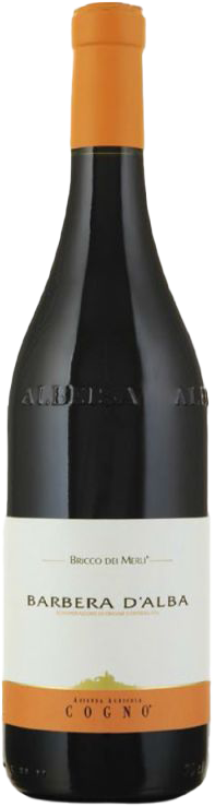 Barbera d'Alba 'Bricco dei Merli' DOC 2023