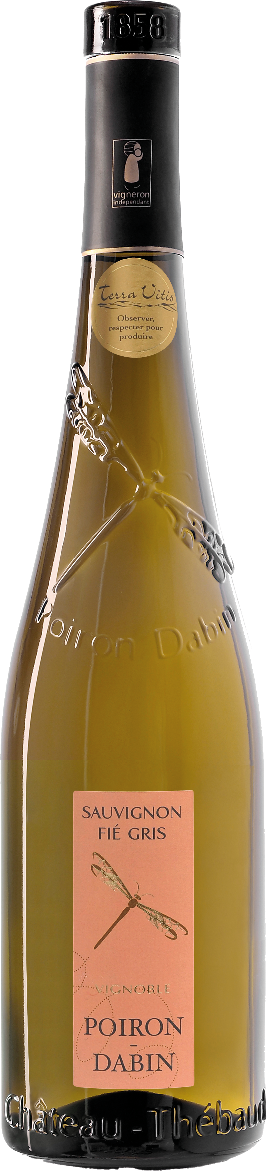 Sauvignon Blanc 'Fié Gris' IGP 2023