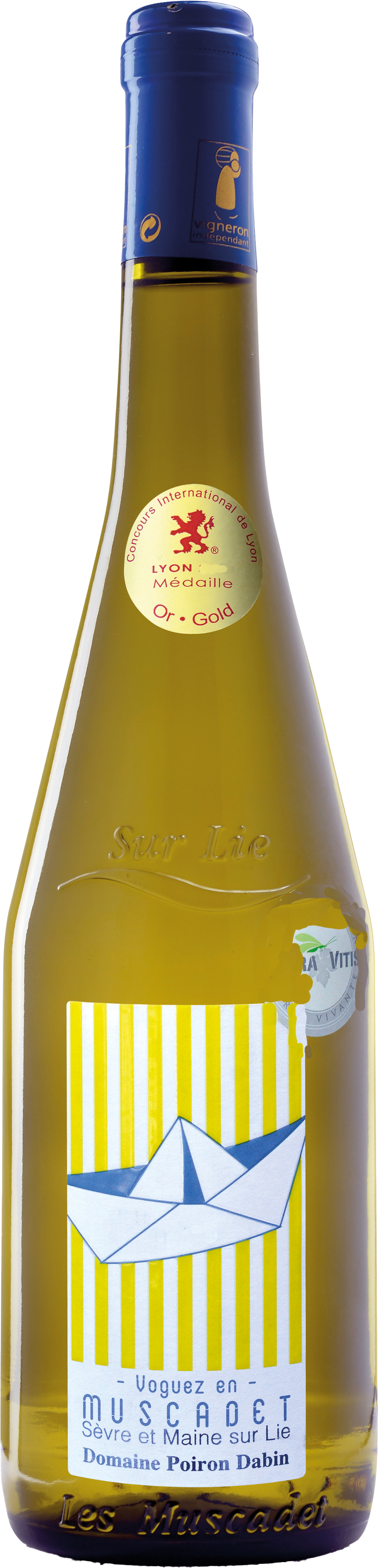 Muscadet de Sevre et Maine sur Lie AOC 2024