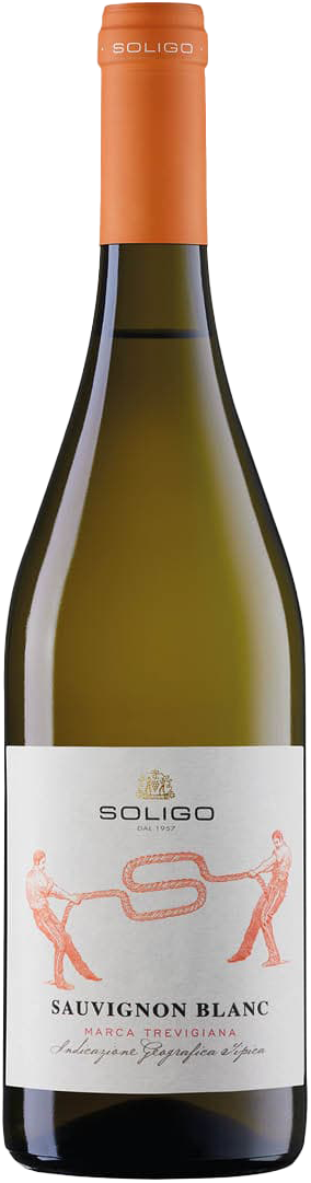 Sauvignon Blanc Marca Trevigiana IGT Soligo 2024
