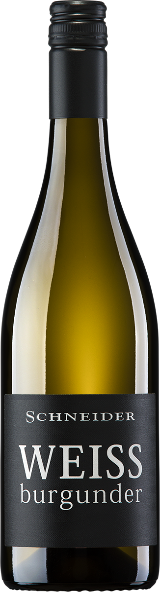 Weissburgunder - Schneider 2025