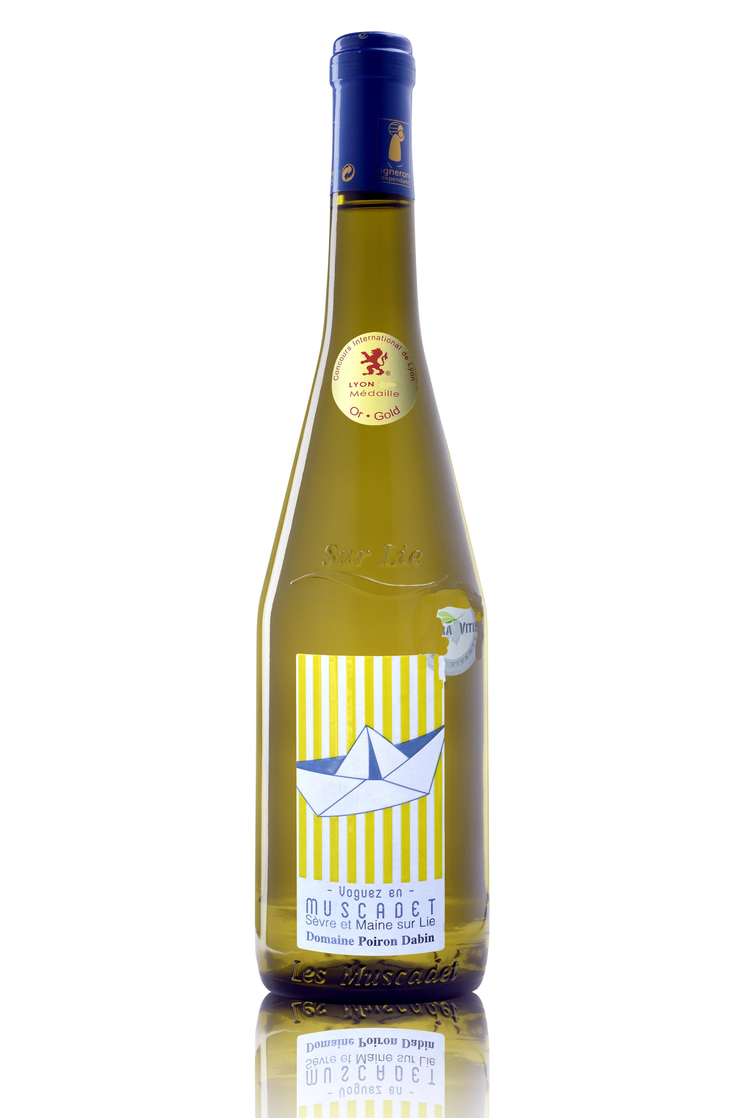 Muscadet de Sevre et Maine sur Lie AOC 2024