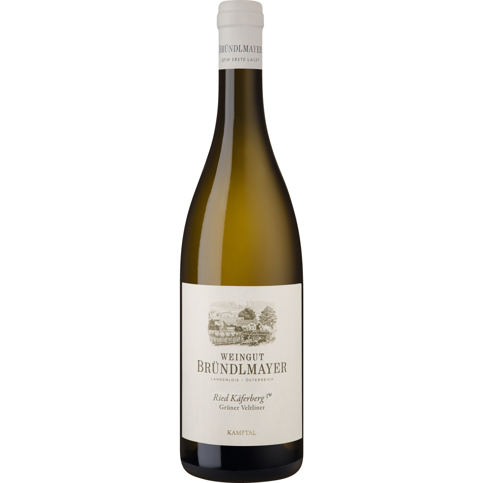 Grüner Veltliner Käferberg Erste Lage DAC 2022