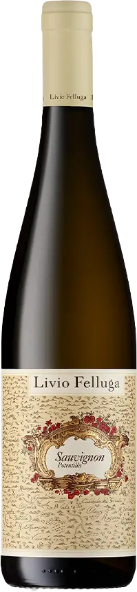 Sauvignon 'Potentilla' - Friuli Colli Orientali DOC 2021
