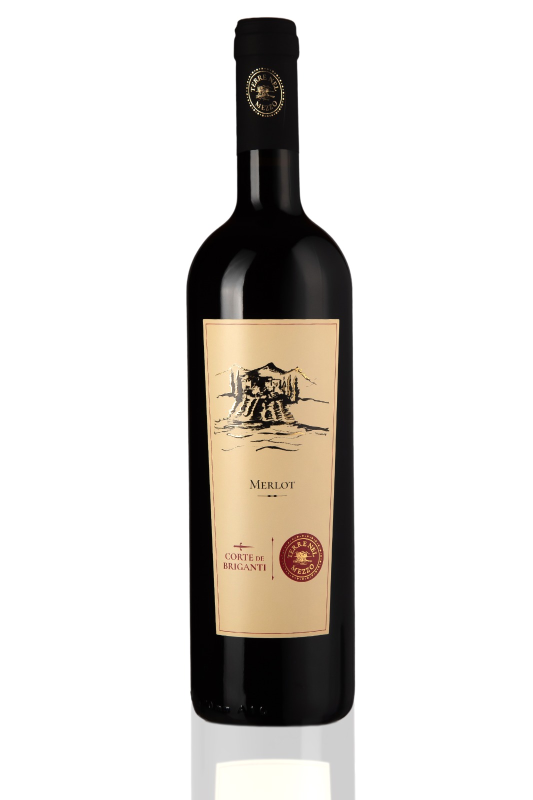Merlot Selezione - Terre di Chieti IGP 2024